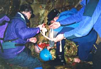 Providing first aid to a head injured patient.